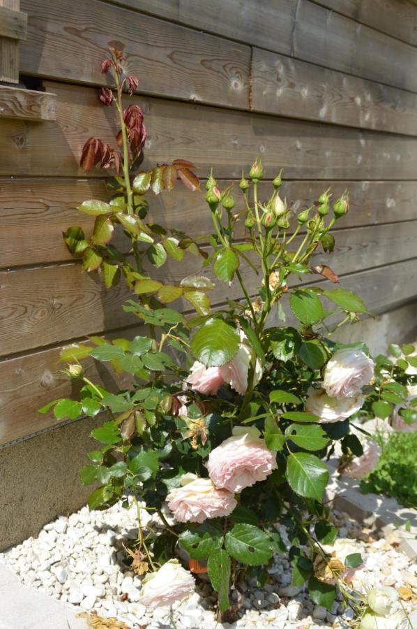 Bed and Breakfast Au Fil Du Temps Amboise Exterior foto